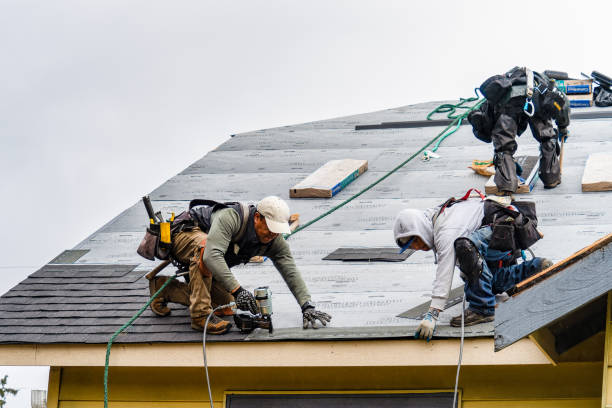 Professional Storm Damage Roof Repair technician working in South Sutton, NH
